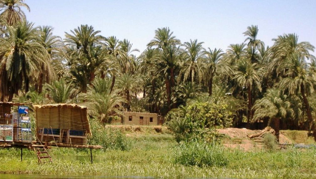 Isla Banana - Foto 2