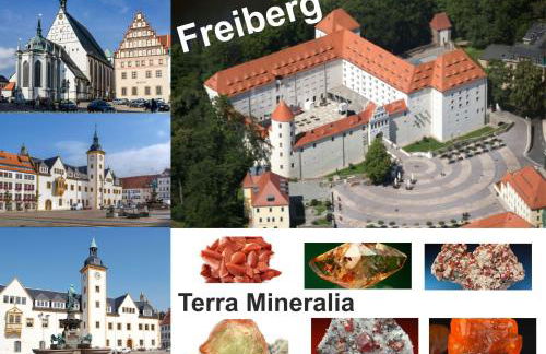 FeWo am Pochwerk-Badeteich - Foto 33