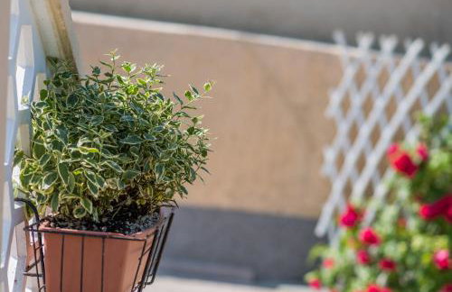 Apartments with a parking space Malinska (Krk) - 13219 - Foto 13