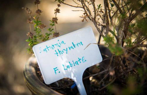 Agrilos Sea View House - Foto 35