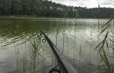 Domek na wsi Mokosz - Photo 27