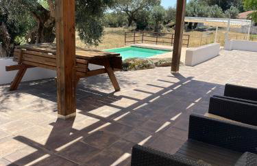Almojanda 3 Olive Tree - Foto 16