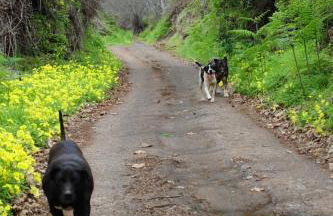Finca rural House Tenerife Relax And Enjoy - Foto 54