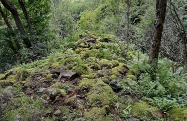 Ferienwohnung Mondfänger - Photo 30