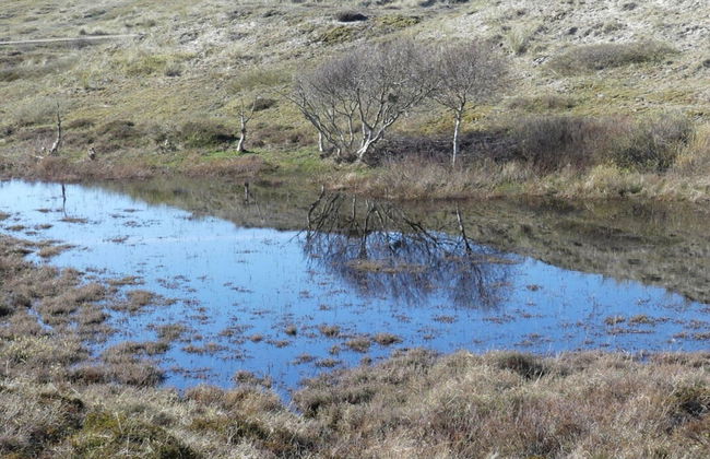 Holiday Apartment Zonnewende 16 - Foto 16