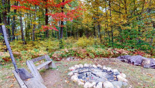 Dragonfly Gully - Foto 4