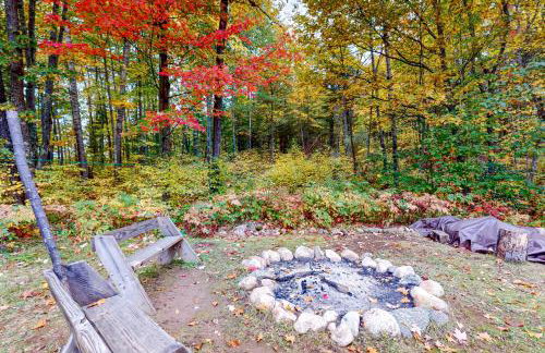 Dragonfly Gully - Foto 4