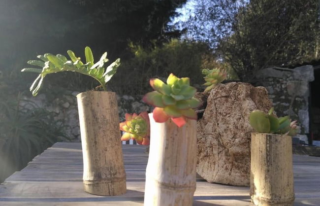 Bosque de Cuevas - Foto 54