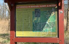 Eiderperle - Foto 63