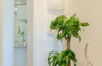 Suite Verga - Foto 28