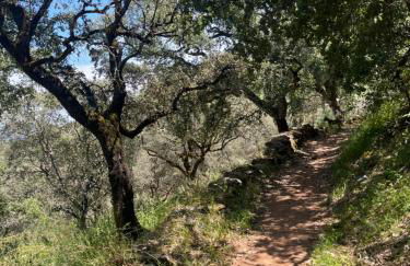 La Casa del Jardín - Foto 43