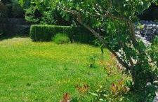 Holiday House Vela Vrta - Foto 37
