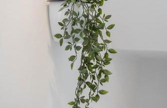 Kilmallie House - Foto 41