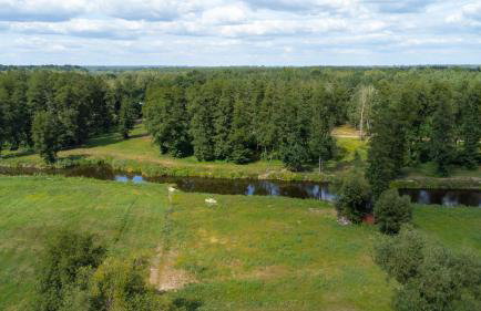 Uroczysko nad Pilicą Sauna & Balia - Foto 8