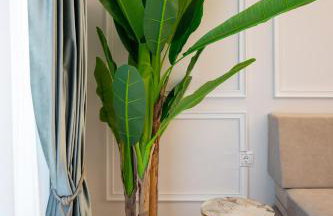 Margo Luxury Living 2 by 8essentially - Foto 13