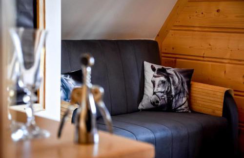 Domki Wiśta Wio - Foto 78