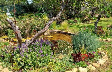 La Casita del Cactus - Casa de campo con piscina - Foto 25