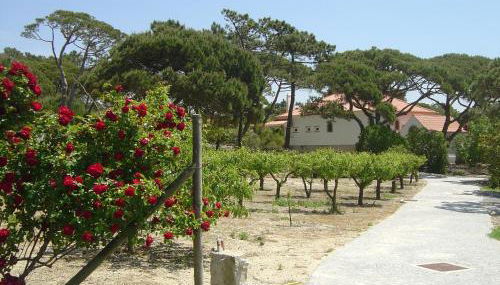 Solar Do Magoito - Foto 3, Garden, Garden view