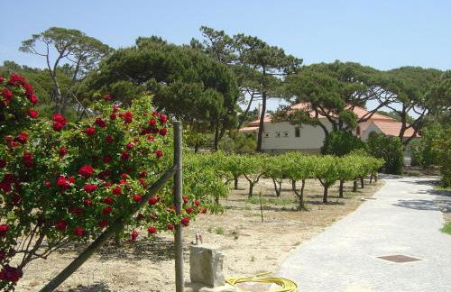 Solar Do Magoito - Foto 3