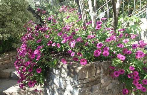 La casa del Maestro - Foto 56