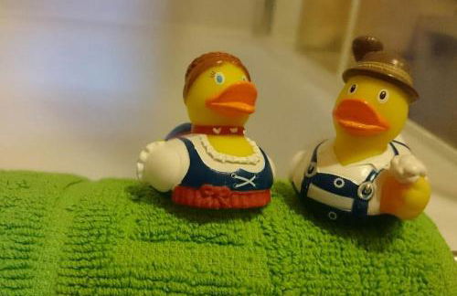 2-Zimmer DG-Apartment mit eigener Sauna - Foto 10