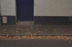 Maison cosy citadine - Foto 20