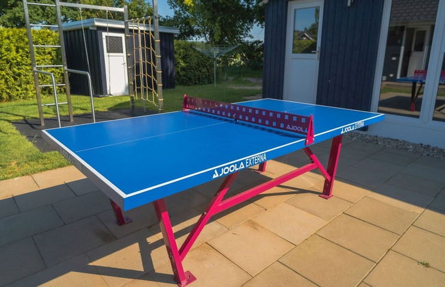 Ferienhaus mit Pool und Sauna am Duemmer See - Foto 42