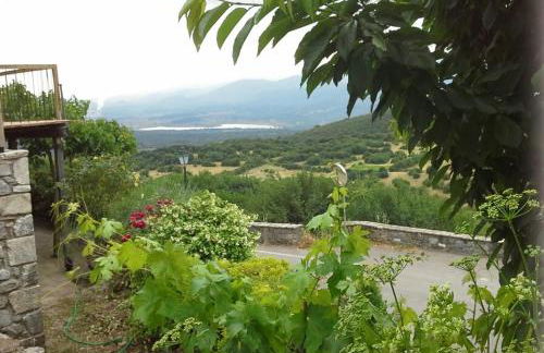 The Artist's House - Photo 37