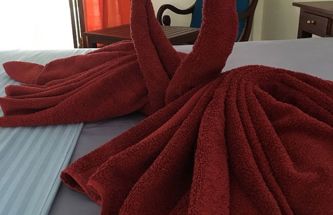 Silence Garden - Foto 7