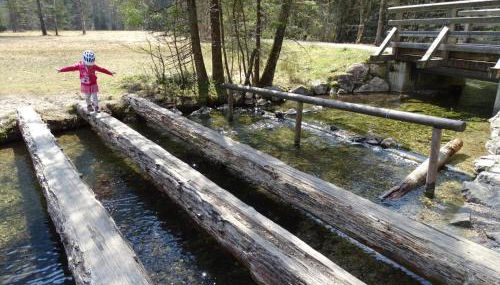 Ferienwohnung Frieda - Foto 3