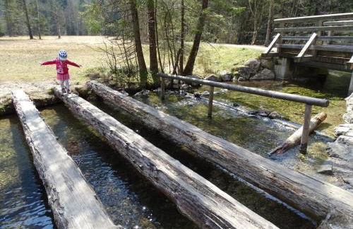 Ferienwohnung Frieda - Foto 3