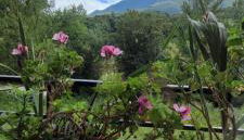 Casa Cabrales - Foto 5