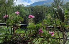 Casa Cabrales - Foto 5