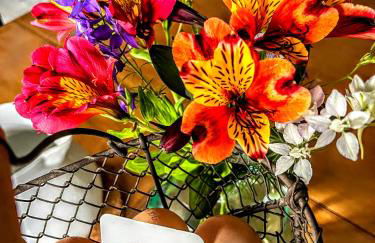 "L'or et des Landes" - 6 personnes - 5 minutes centre équestre et 10 minutes de Nérac - Foto 23