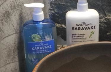 Πέτροκτιστο Σπίτι. Stone House - Foto 25