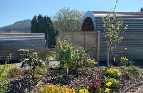 Dundhu - Uk7834 - Photo 12