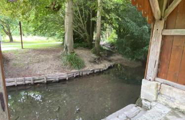 La petite bulle - Foto 23