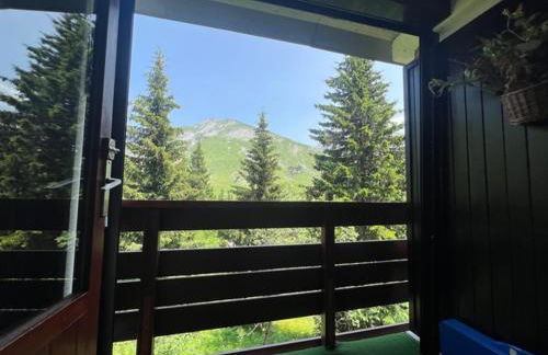 Appartement Manigod/La clusaz - Photo 17