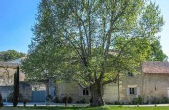 Stunning farmhouse with heated private pool in Provence - Photo 38