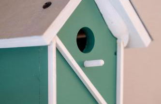 FeWo Paulsen Schobüll - Foto 34