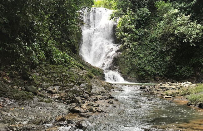 Pura Natura Lodge Arroyo - Foto 45