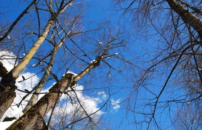 Apartment in Cavalese Near Cermis Ski Slopes - Foto 35