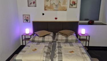 Zentrales City-Apartment mit Garage und Arbeitsplatz geeignet für Business und Familie - Foto 4