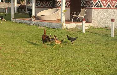 Pousada Marajoara- Hotel Fazenda-Turismo de Aventura - Photo 27