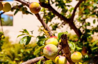 Villa Eftichia - Photo 19