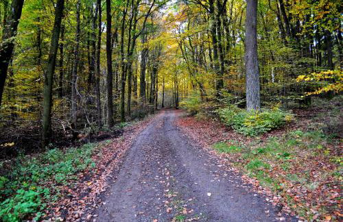 Ferienwohnung Schadler - Foto 29