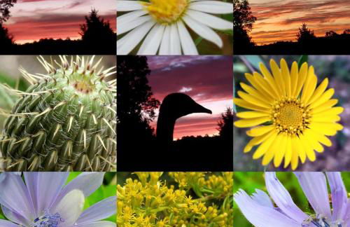 Rustic A-Frame Cabin in the Lush Woodlands of Grubville, Missouri - Foto 11