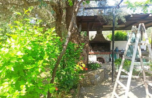 Zephyr Guest House - Foto 6