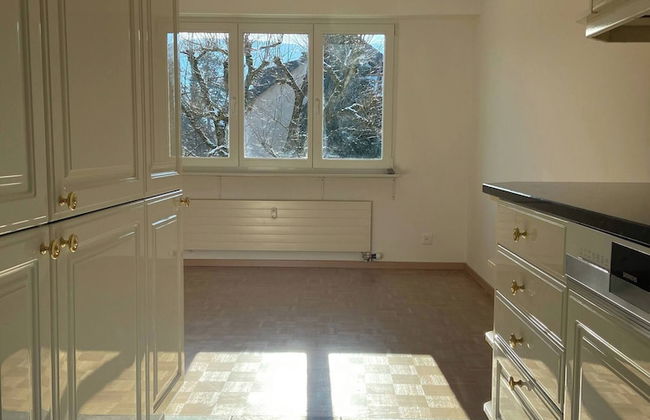 In the Green but in 20 Minutes in Basel - Foto 25