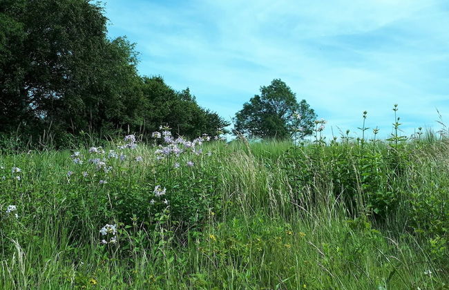 Holiday Home in Holeby - Foto 24